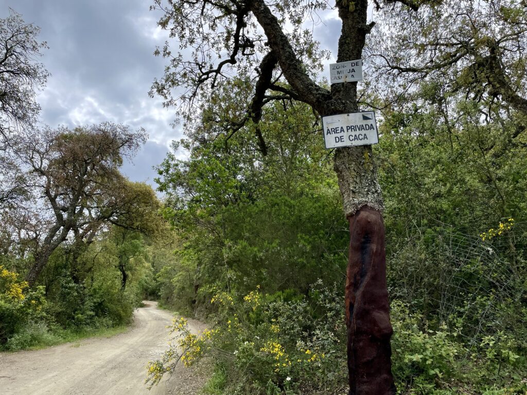 Belle piste gravel dans les Gavarres