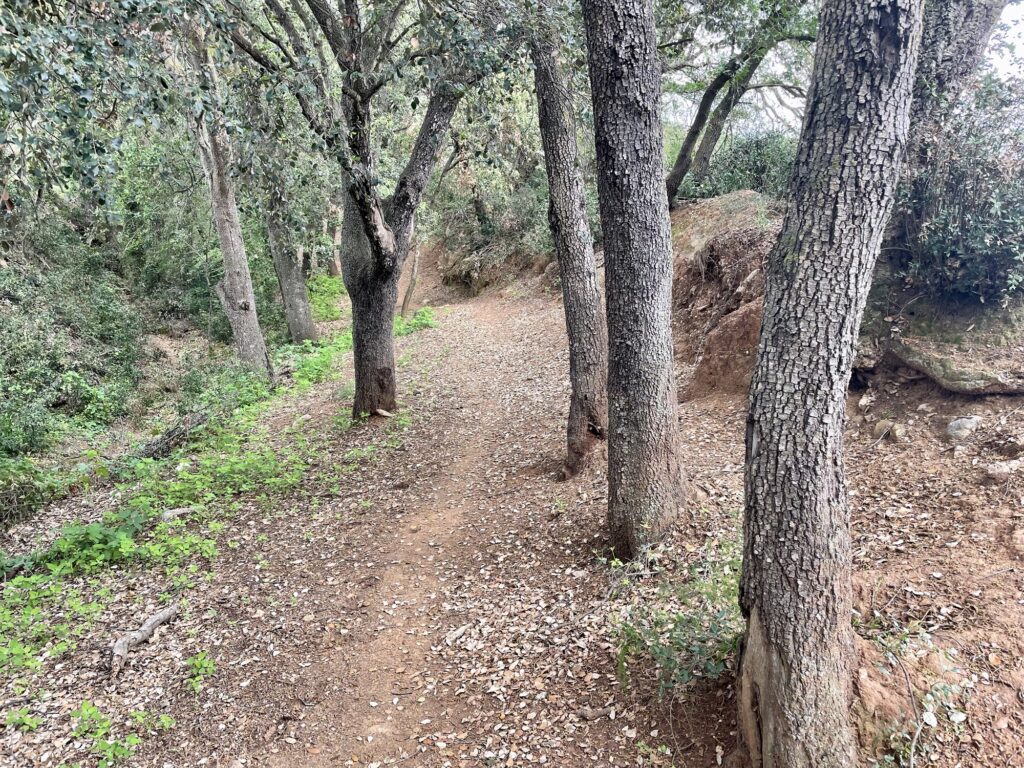 Un petit chemin gravel entre Montes et Corçà