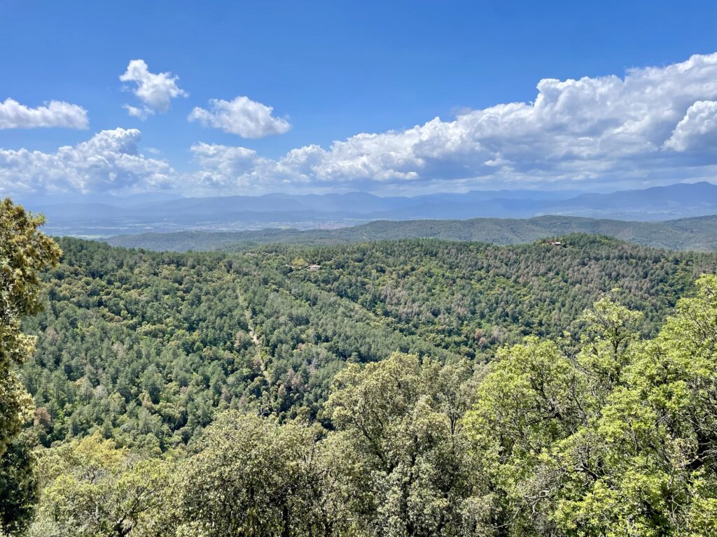 Vue depuis le mirador Els Angels