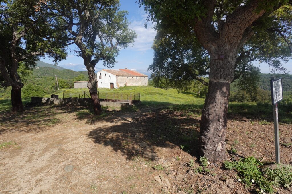 La ferme du col de Panissars avec le Canigou au fond