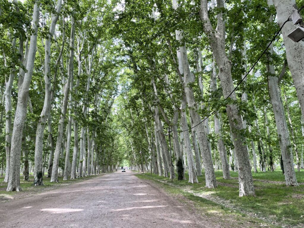 Le très grand parc ombragé de la Devesa à Gérone