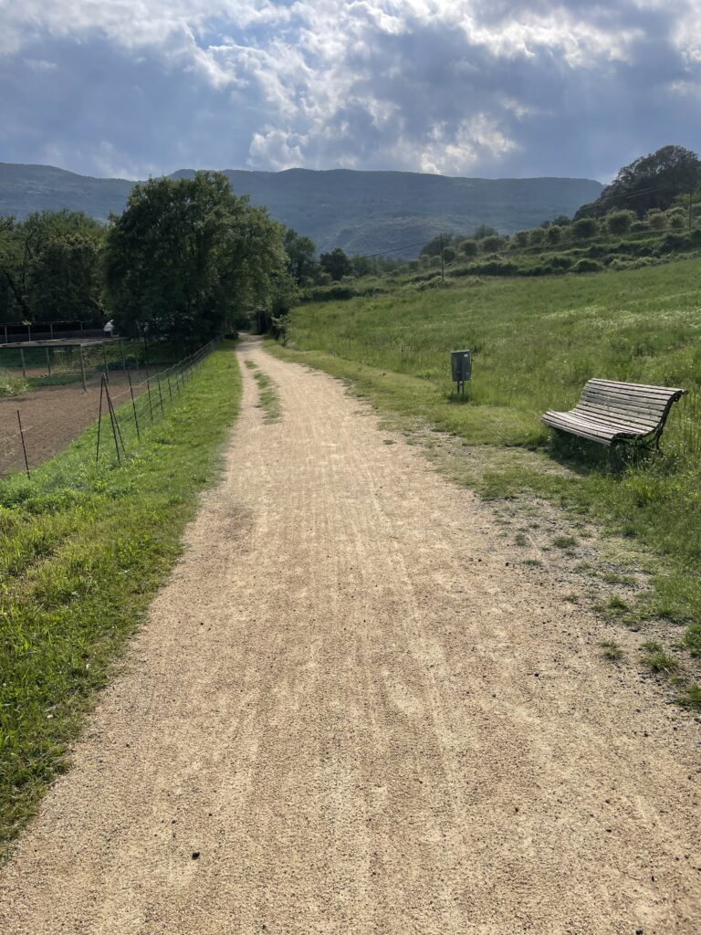 Les contreforts des Pyrénées au loin